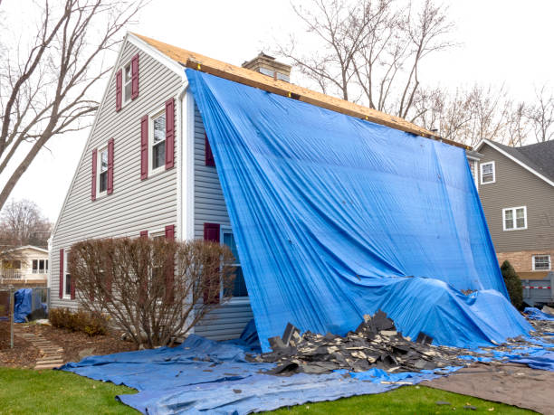 Best Carpet Removal and Disposal  in Bethel Island, CA