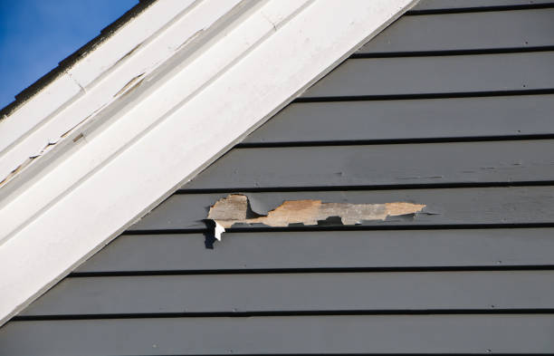 Best Residential Junk Removal  in Bethel Island, CA